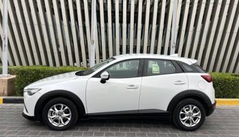 إعلان عن 2023 صبغ الوكاله