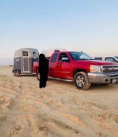 إعلان عن نقل خيل لجميع مناطق الكويت ويوجد ايجار خيل