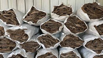 إعلان عن رمث جروم صافي⛺️🪵