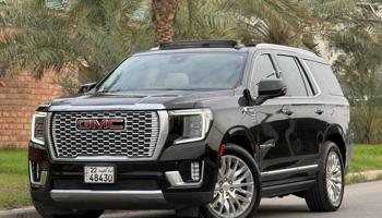 إعلان عن دينالي ٢٠٢٣ صبغ وكالة