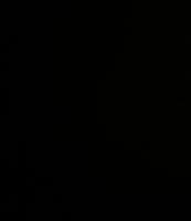 إعلان عن للبيع فرس مصريه بيور بدقري فاخر وحركه فاخره شرط سلم بدي وارحام ومهر