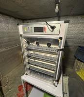 إعلان عن فقاسه  بيض تقريباً ل جميع الطيور بحاله ممتازه السعه من 300 الى 340 بيضه