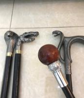 إعلان عن للبيع عصايات فخمه من النوادر مميزه