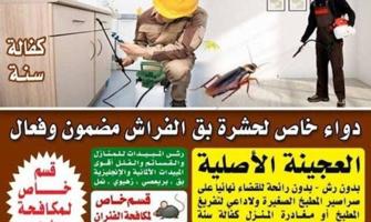 إعلان عن مكافحة الحشرات والصراصير وبق الفراش مكافحة الصراصير المطبخ المزعجه