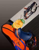 إعلان عن للبيع سرج مرثون مع كامل اغراضه