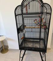 إعلان عن كويكر اليف جداً متكلم بيعة سريعة