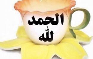 إعلان عن مطلوب شغل حارس بنايه او حارس شاليه او حارة فيلا او حارس مخيم