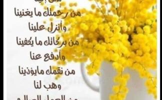 إعلان عن سوبر فايزر خبره بالمطاعم أبحث عن مطعم مناسب للضمان او تطوير وإدارة مطع