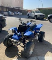 إعلان عن بانشي للبيع