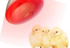 إعلان عن ليتات حراريه تدفئه