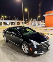 إعلان عن كدلك xts