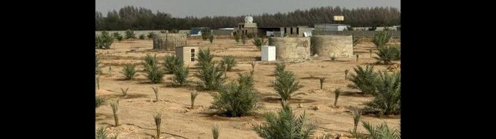 إعلان عن للبيع مزرعه نباتية