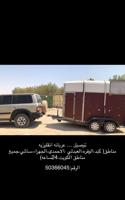 إعلان عن عربانه نقل خيل جميع مناطق الكويت