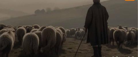 إعلان عن سيلاني معاه ليسن كويتي