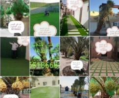 إعلان عن تنظيف 🌴تلقيح🌴 ورش النخيل🌴 ابو على🌹 اهوازى للنخيل🌴🌹 خبره 22عاما🌹