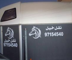 إعلان عن , نقل خيل جميع مناطق الكويت