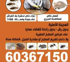 إعلان عن الأماني لمكافحة جميع أنواع الحشرات الطائرة والزاحفه   النمل /الصراصير