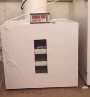 إعلان عن صيانة وتصليح جميع انواع الفقاسات فني هندي