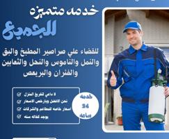 إعلان عن مكافحة حشرات وقوارض جميع مناطق الكويت كفالة سنه مع العجينه الأصليه