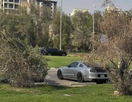 إعلان عن موستنق سبيشل كالفورنيا