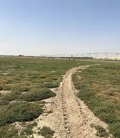 إعلان عن للبيع مزرعه بالعبدلي