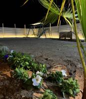 إعلان عن للايجار كشتة رذاذ