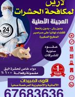 إعلان عن @مكافحة@حشرات@مكافحة@حشرات@مكافحة@حشرات@مكافحة@حشرات@مكافحة@حشرات@