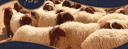 إعلان عن توصيل جميع مناطق الكويت