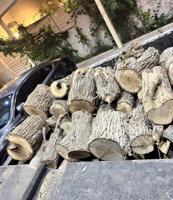 إعلان عن حمول حطب 🪵 مخلوط شرط ناشف حموله HD واص لين عندك يوجد حطب جروم كبار