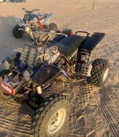 إعلان عن للبيع بانشي