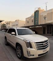 إعلان عن سكاليد 2015 صبغ الوكاله