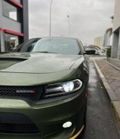 إعلان عن بحالة الوكالة صبغ وكالة