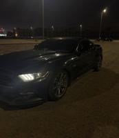 إعلان عن موستنق 2016