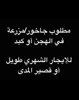 إعلان عن مطلوب جاخور للأيجار الشهري