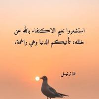 إعلان عن ابو حليفة