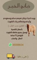 إعلان عن ذبائح الخير طليان طيبه انتاج حلالنا وعلف طيب