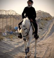 إعلان عن مطلوب سايس خيل خبره