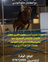 إعلان عن تدريب ركوب خيل لكل الاعمار
