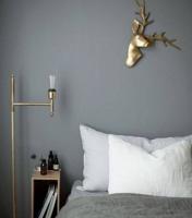 إعلان عن محمد صباغ باكستاني